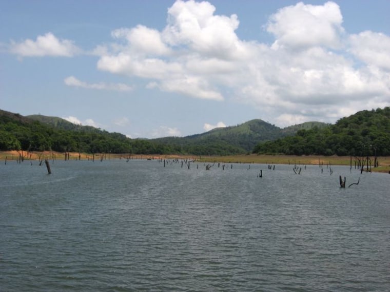 Periyar Lake-3